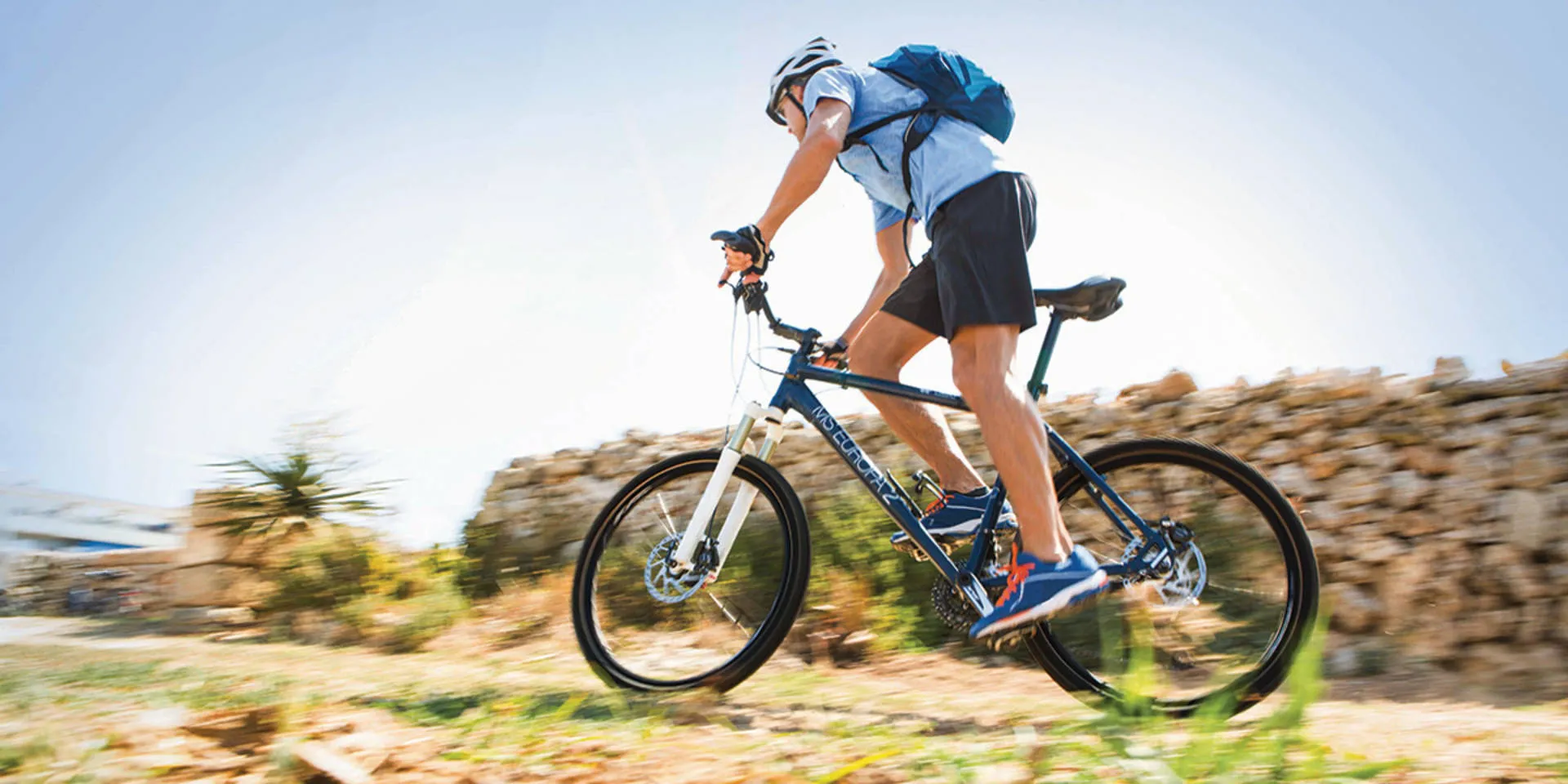 Bike Tours