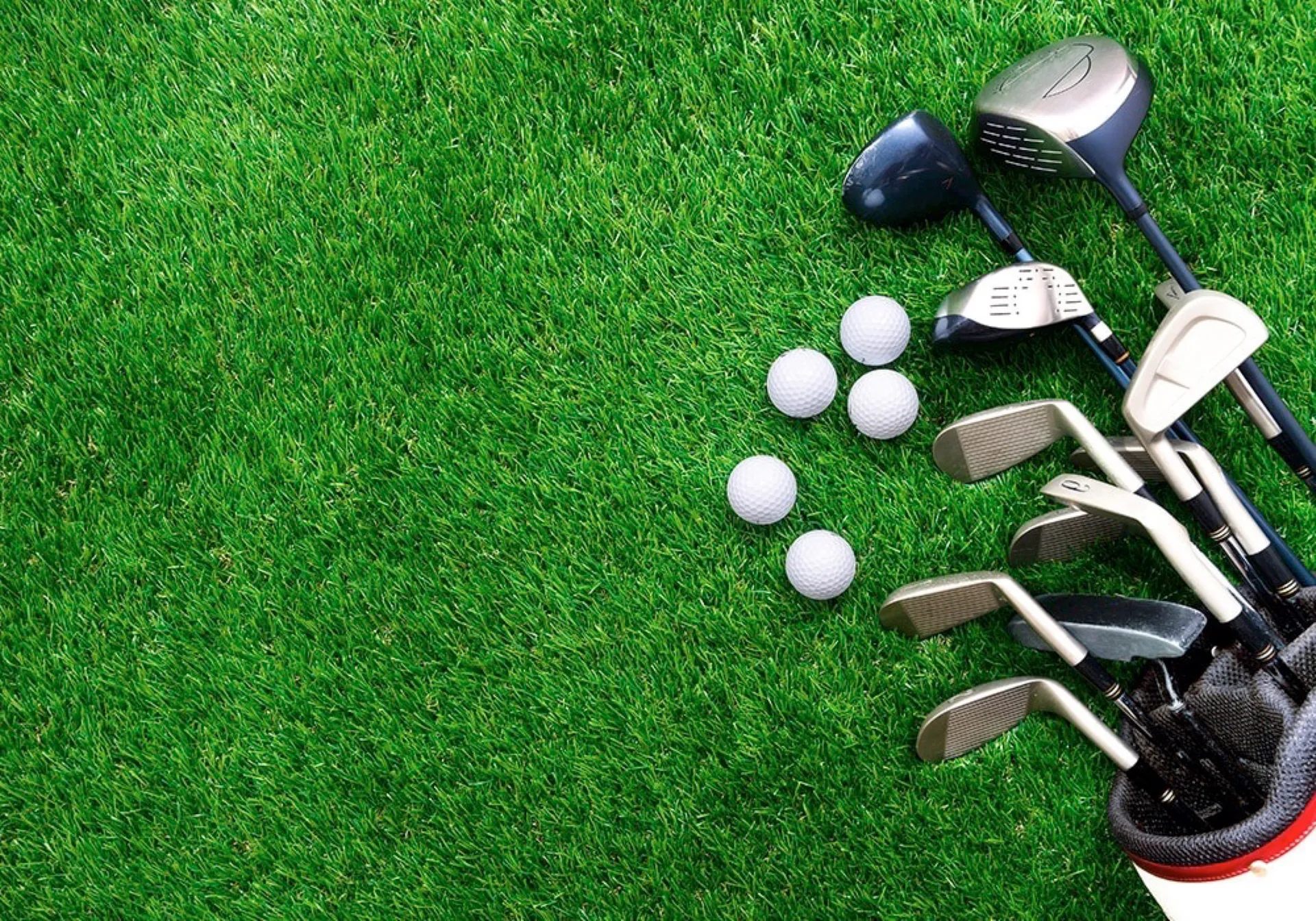 Golf Net