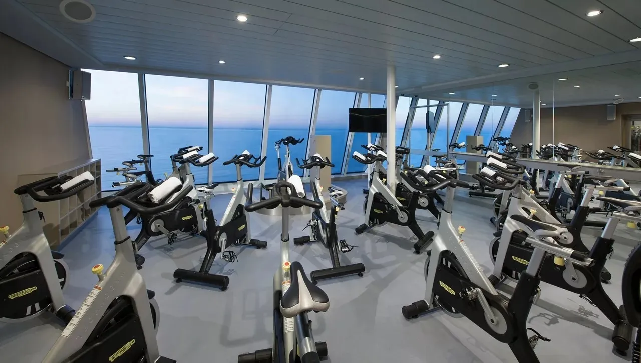 Quantum of the Seas 3