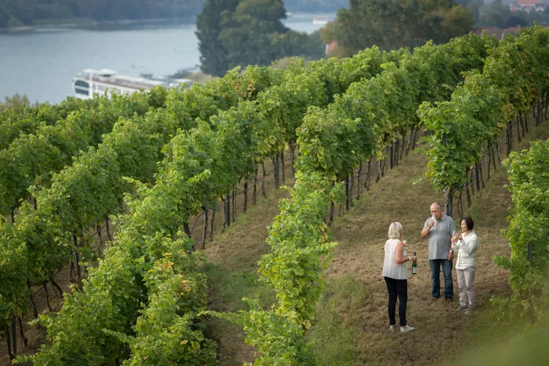 Συλλογή Αριστουργημάτων 3