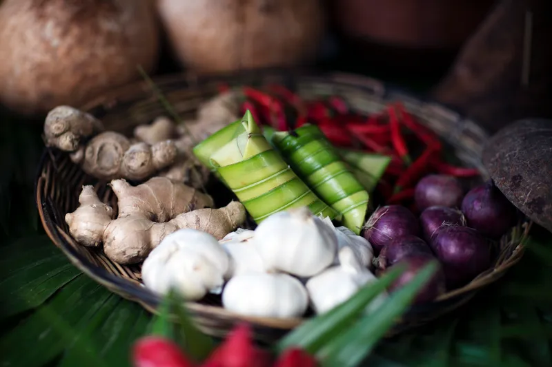 S.A.L.T. Shore Excursions 2