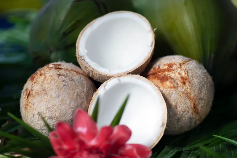 S.A.L.T. Shore Excursions 1