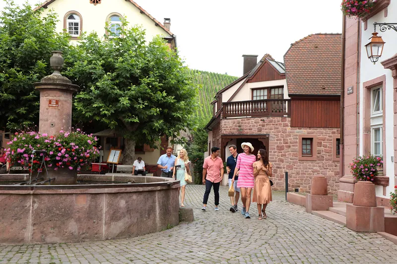 Vezetett túrák a természet ölelésében 2