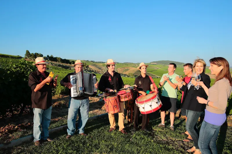 Tururi de drumeție ghidate 1