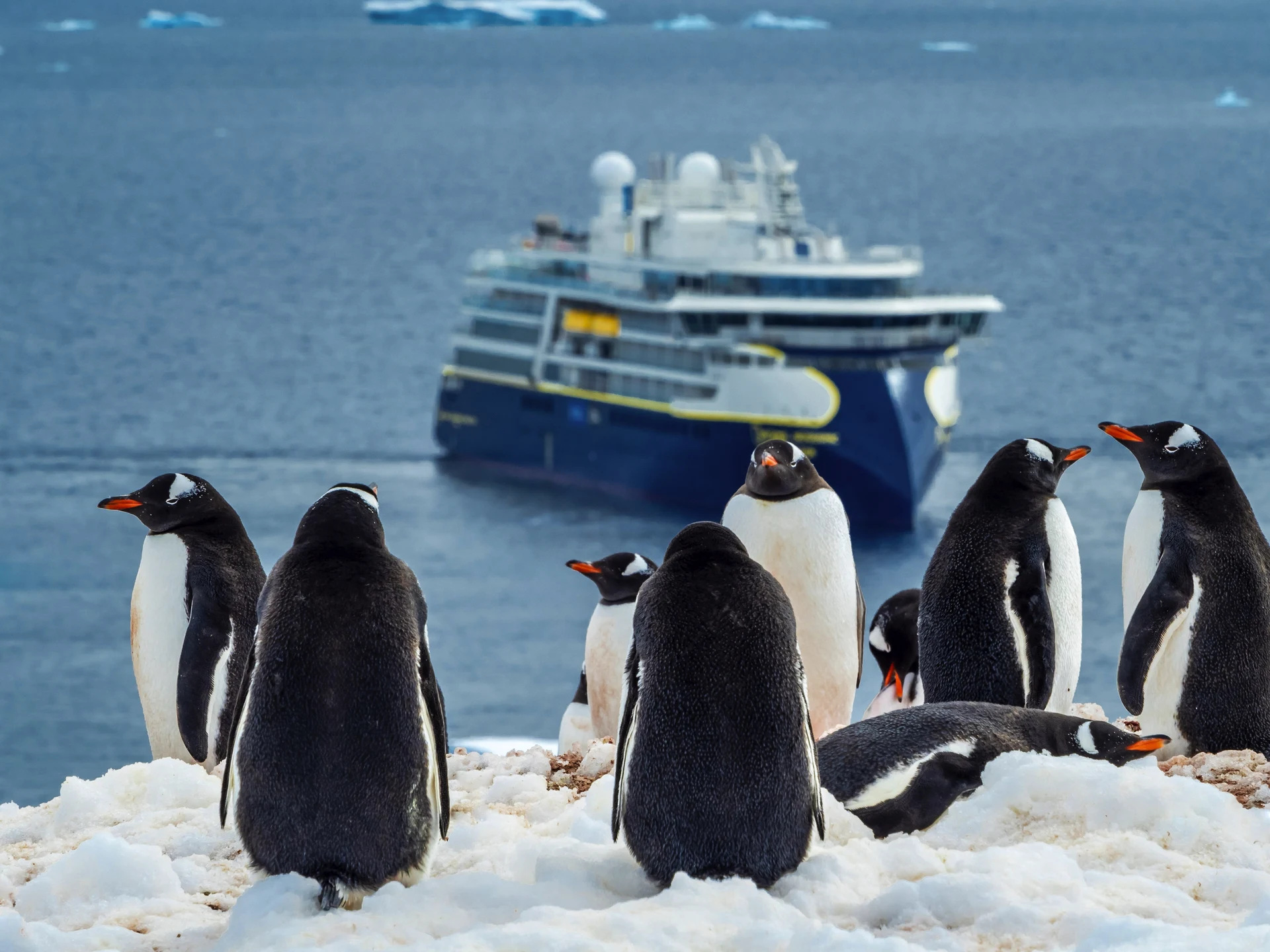 Citizen Science