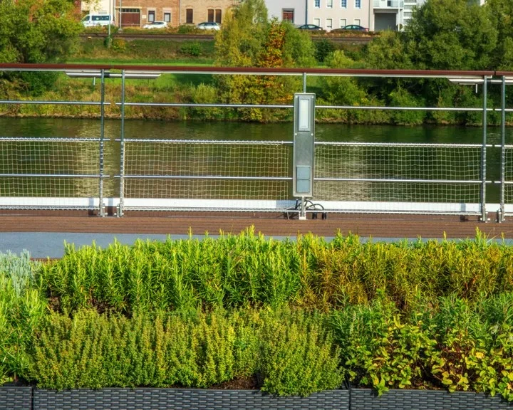 Herb Garden