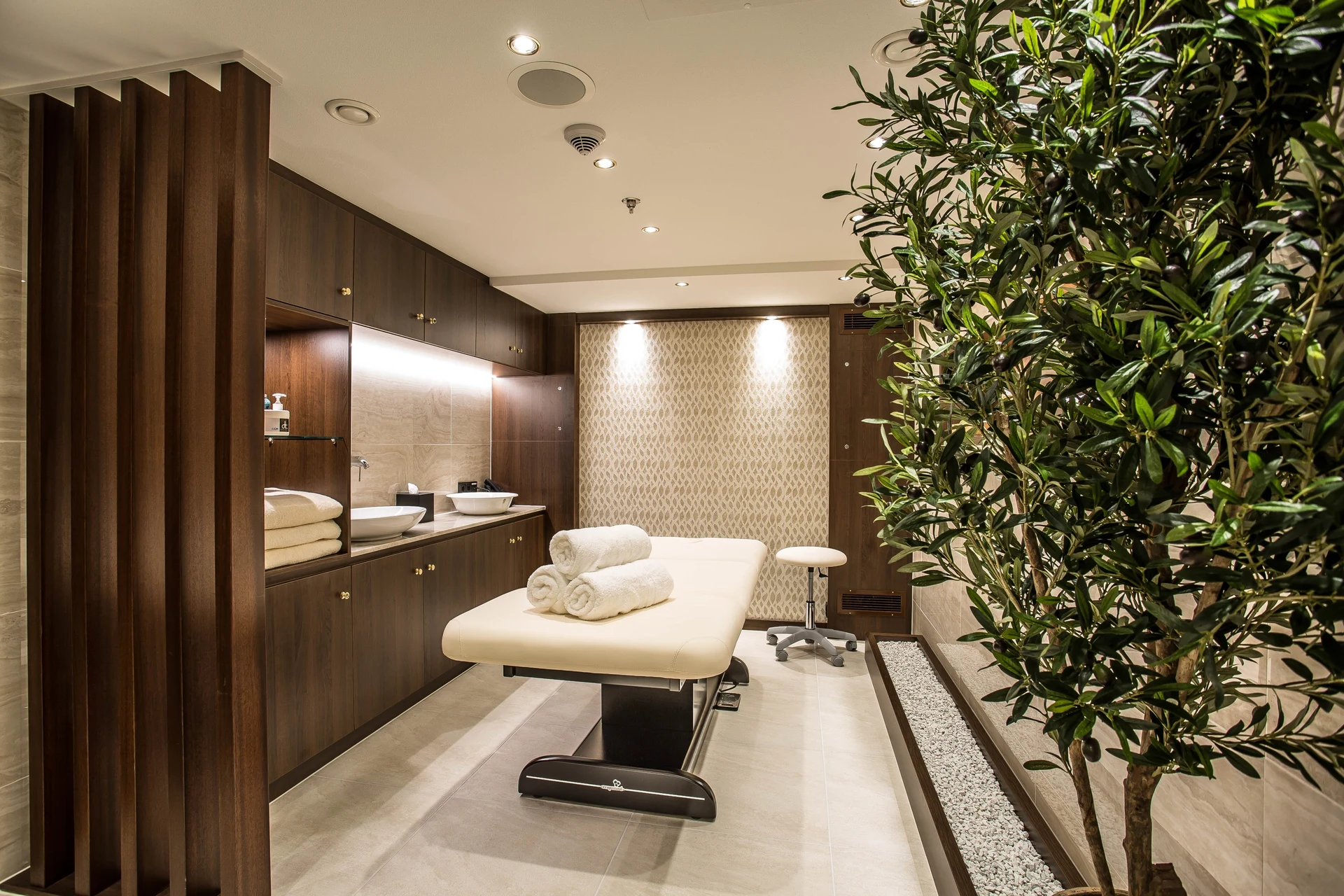 Wellness Area
