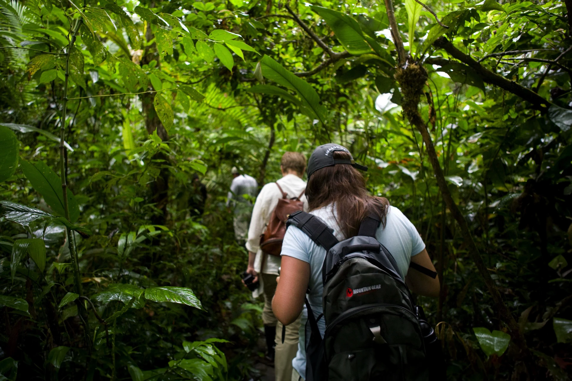 Guided Jungle Walks