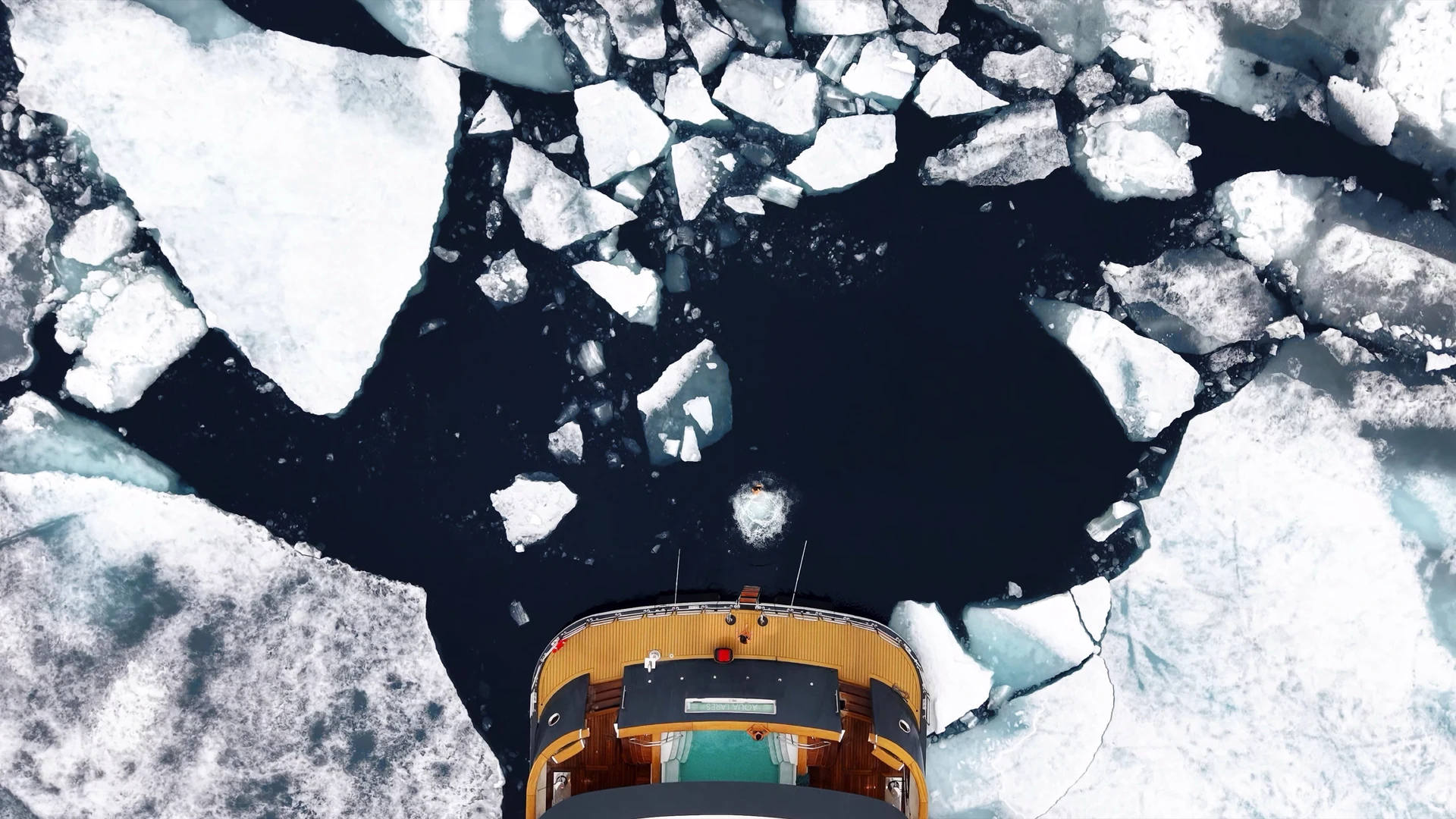 Polar Plunge in the Arctic Circle
