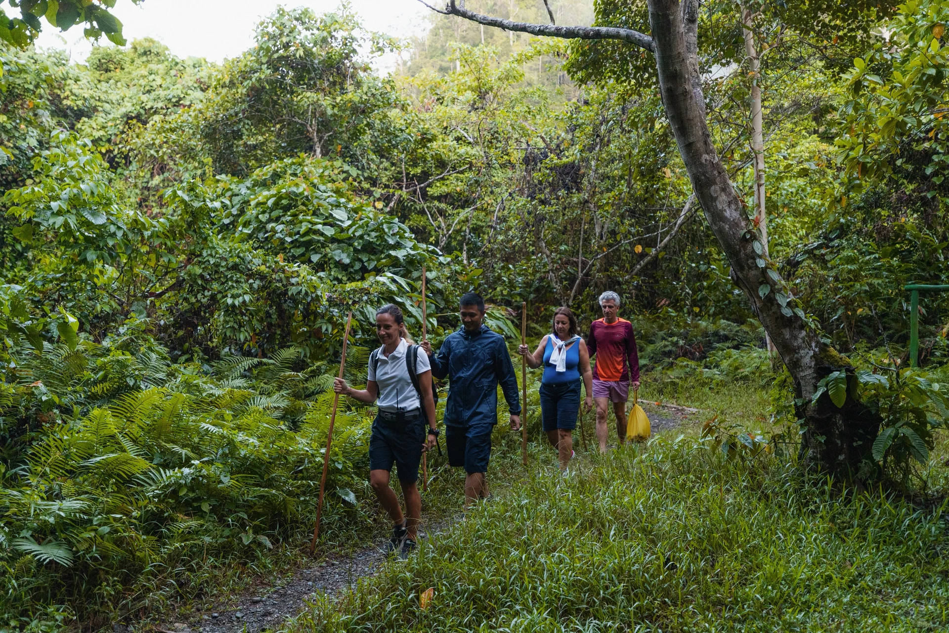 Trekking