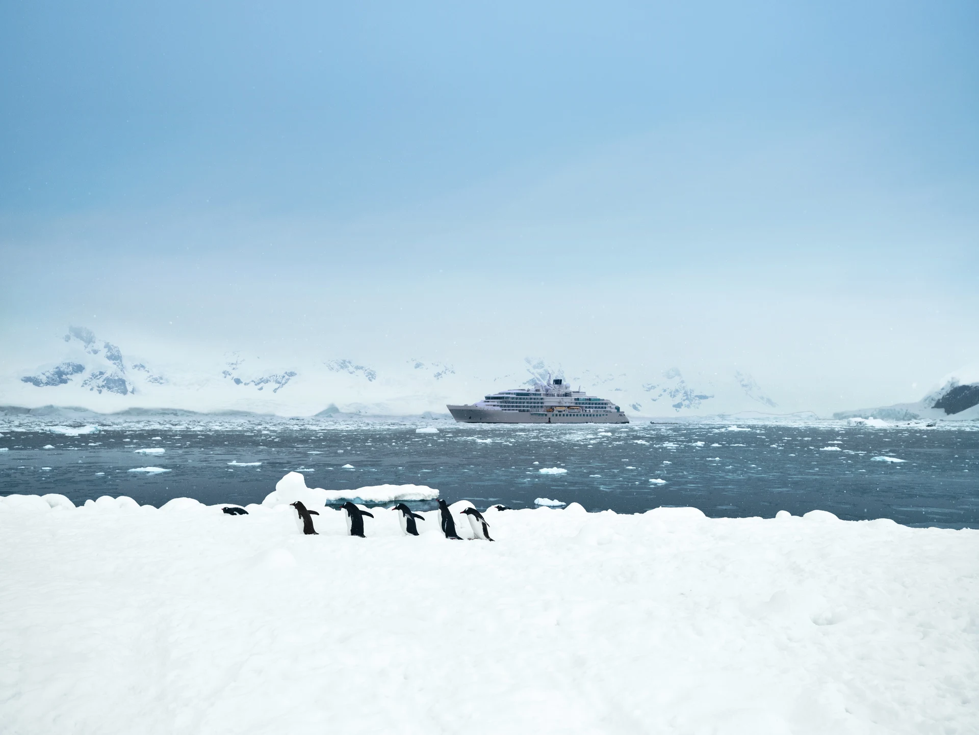 Expedition Experiences