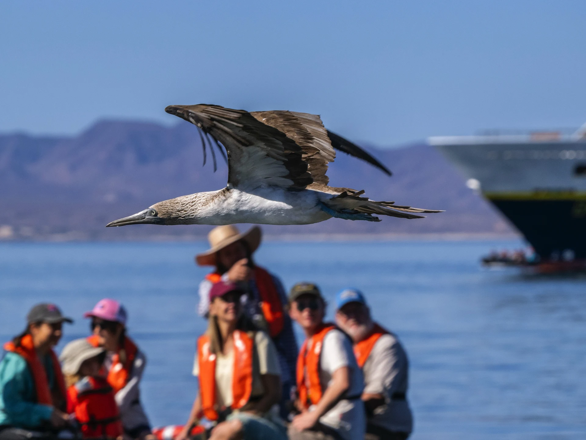 Citizen Science