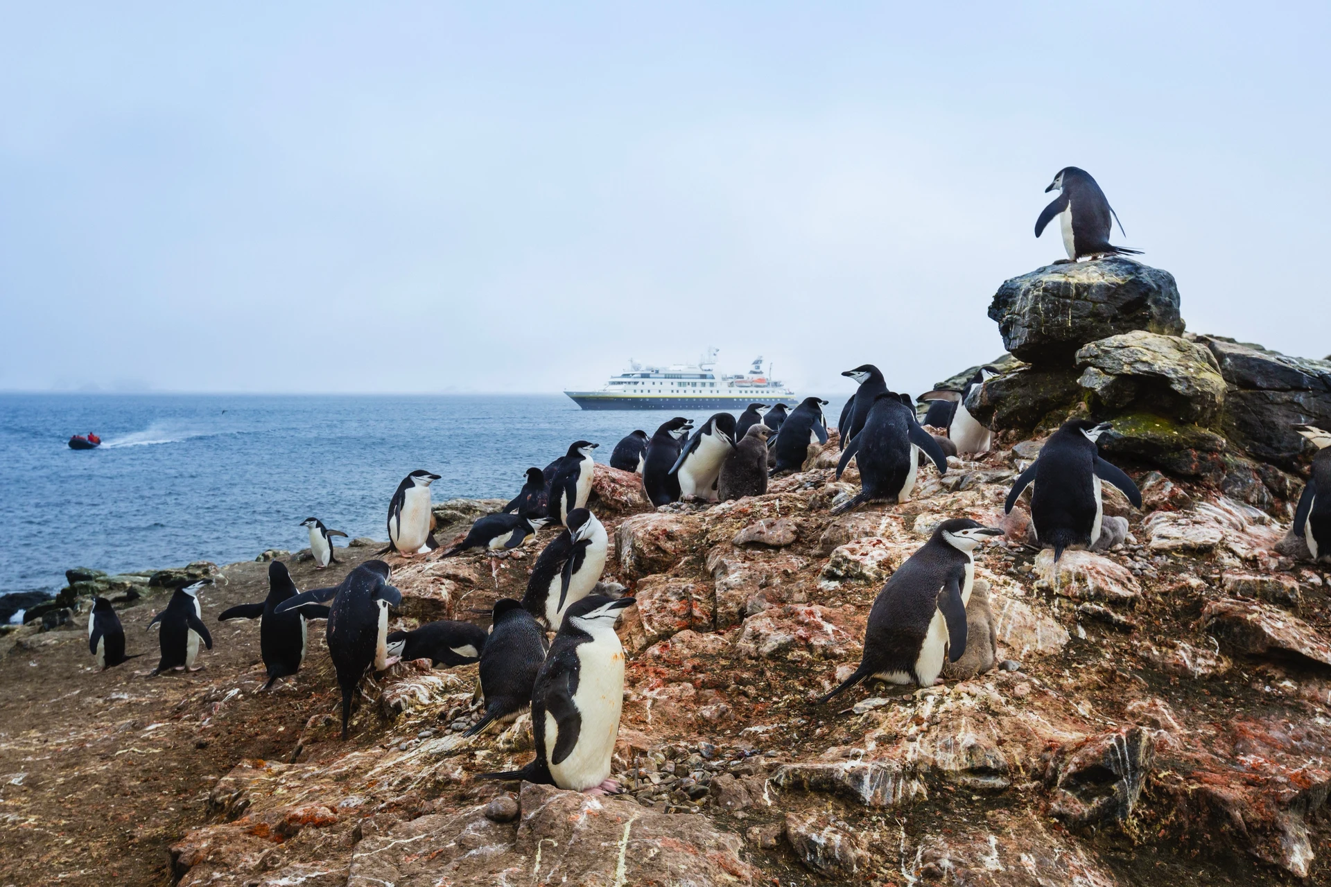 Citizen Science