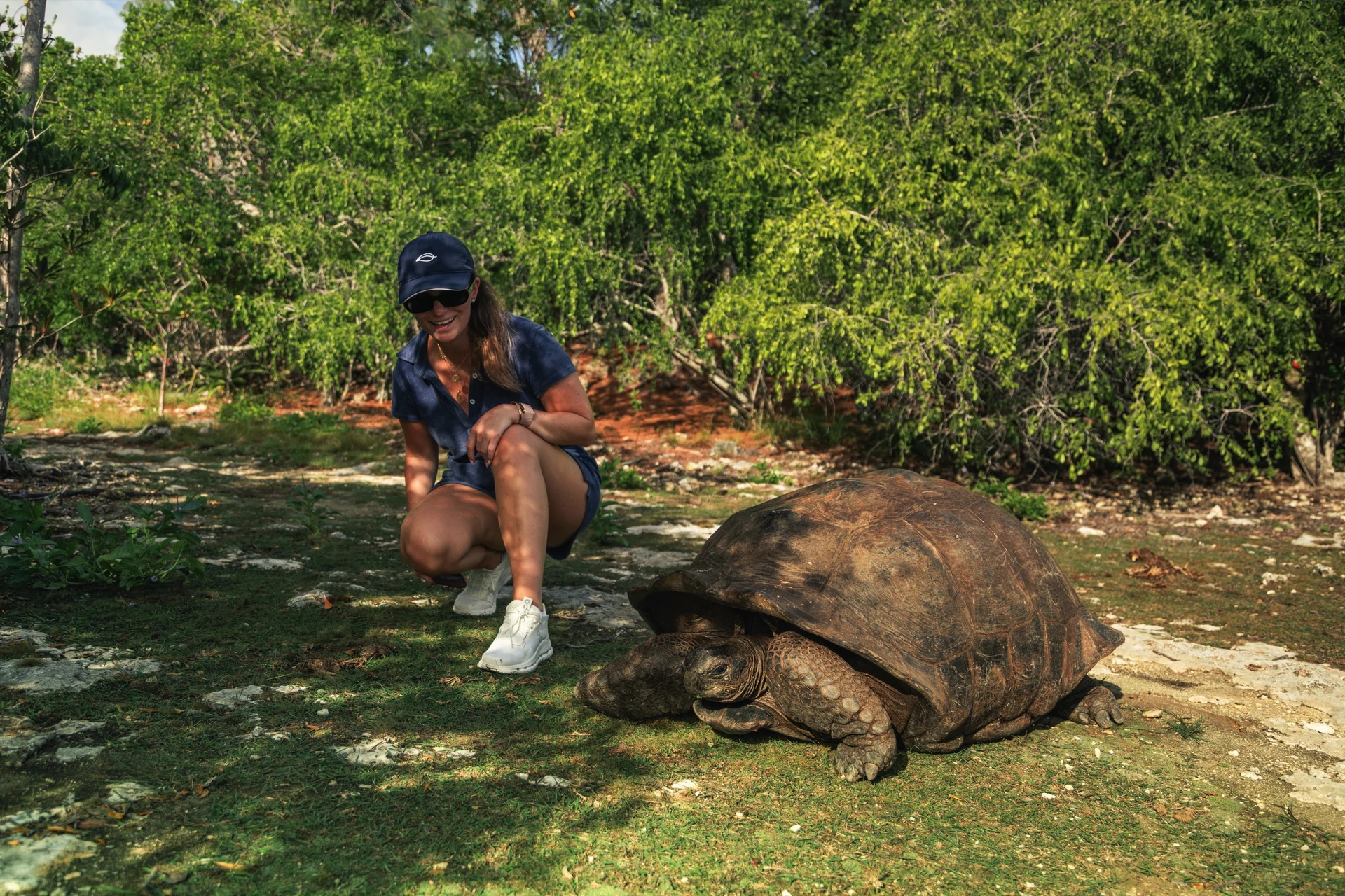 Wildlife Encounters in Seychelles & Tanzania