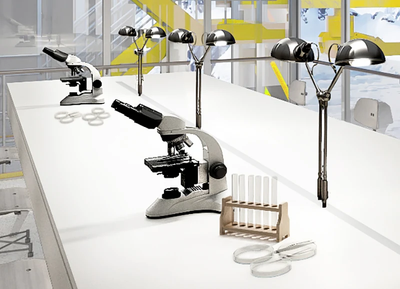 The Laboratory
