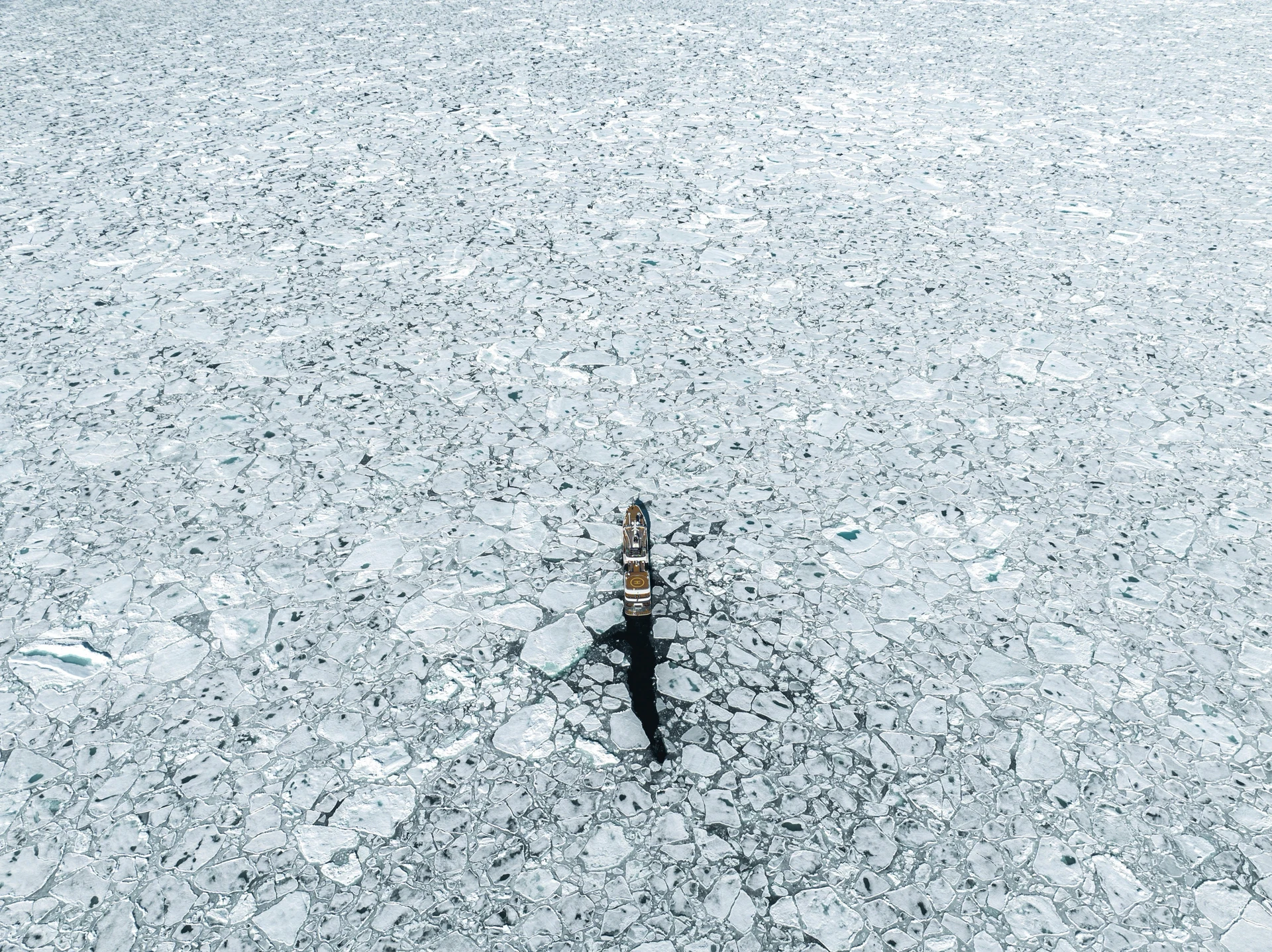 Arctic Circle Cruises