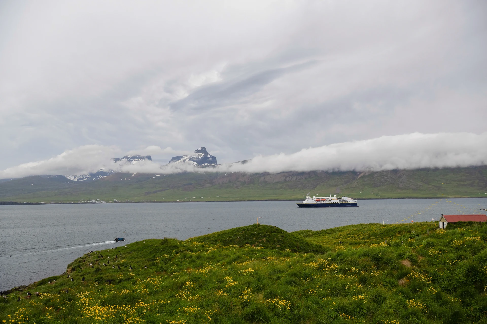 Expeditions