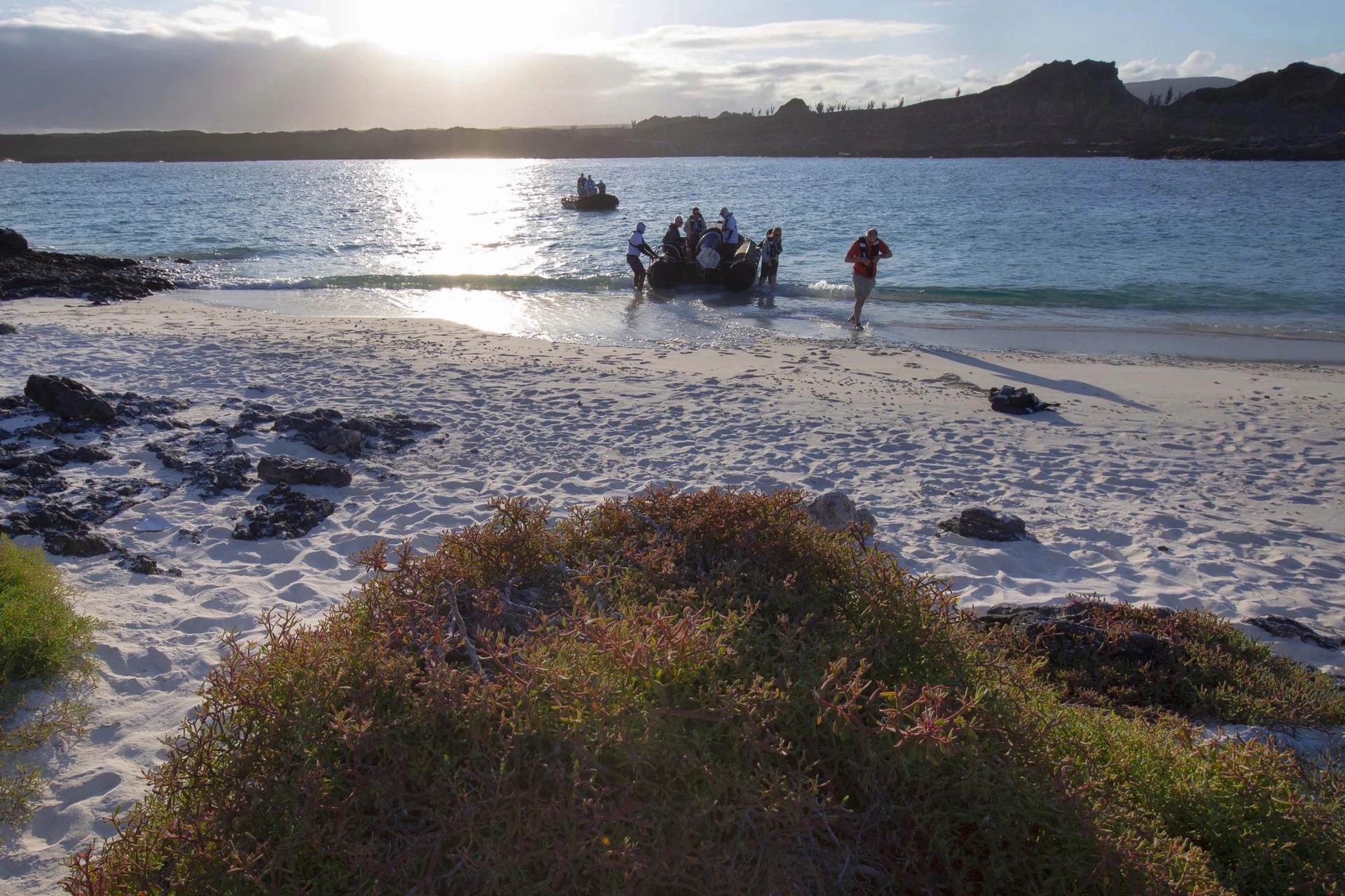 Galapagos Excursions