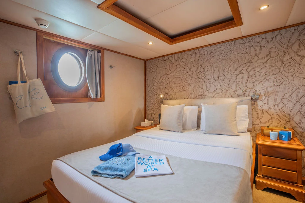 Category A Cabin